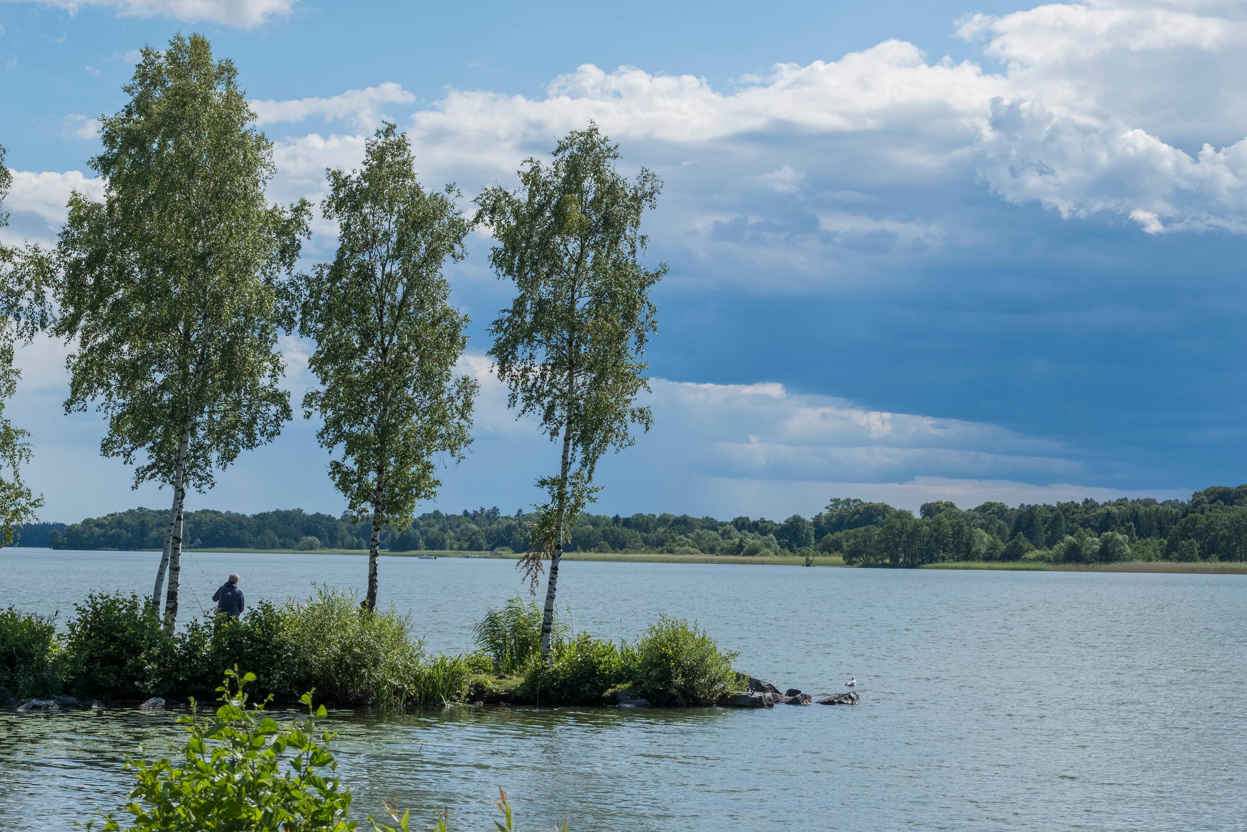 Sjö med tre lummiga träd på en udde.